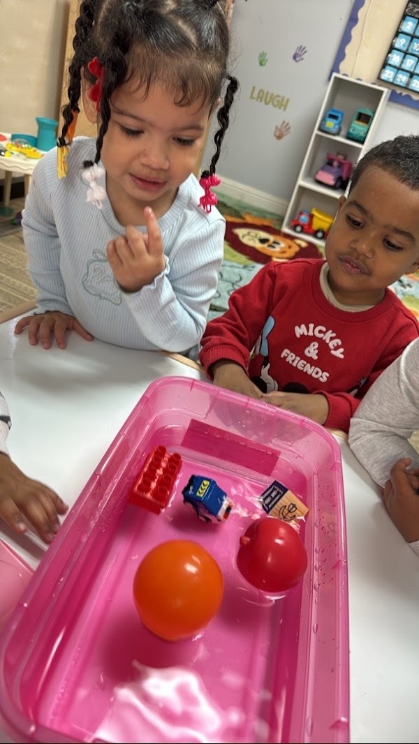 Photo by Elite Minds Academy