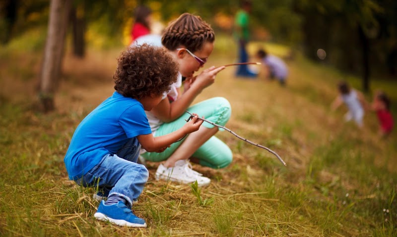 Sherwood Forest Learning Centre photo 2