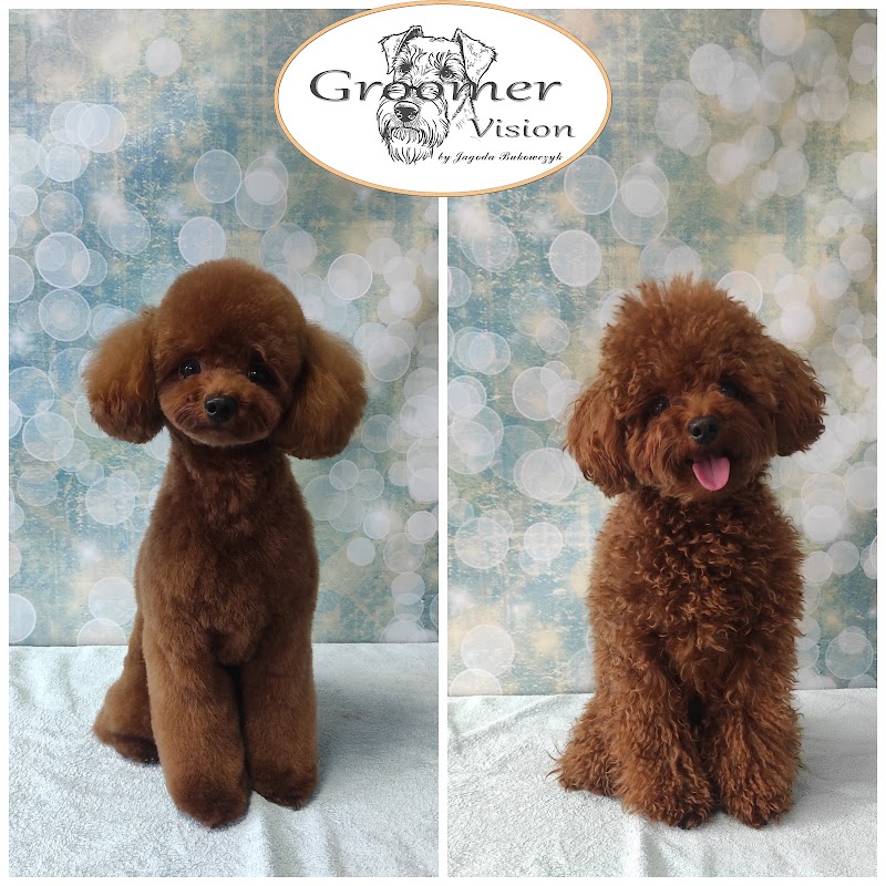 Groomer Vision- psi fryzjer Kraków