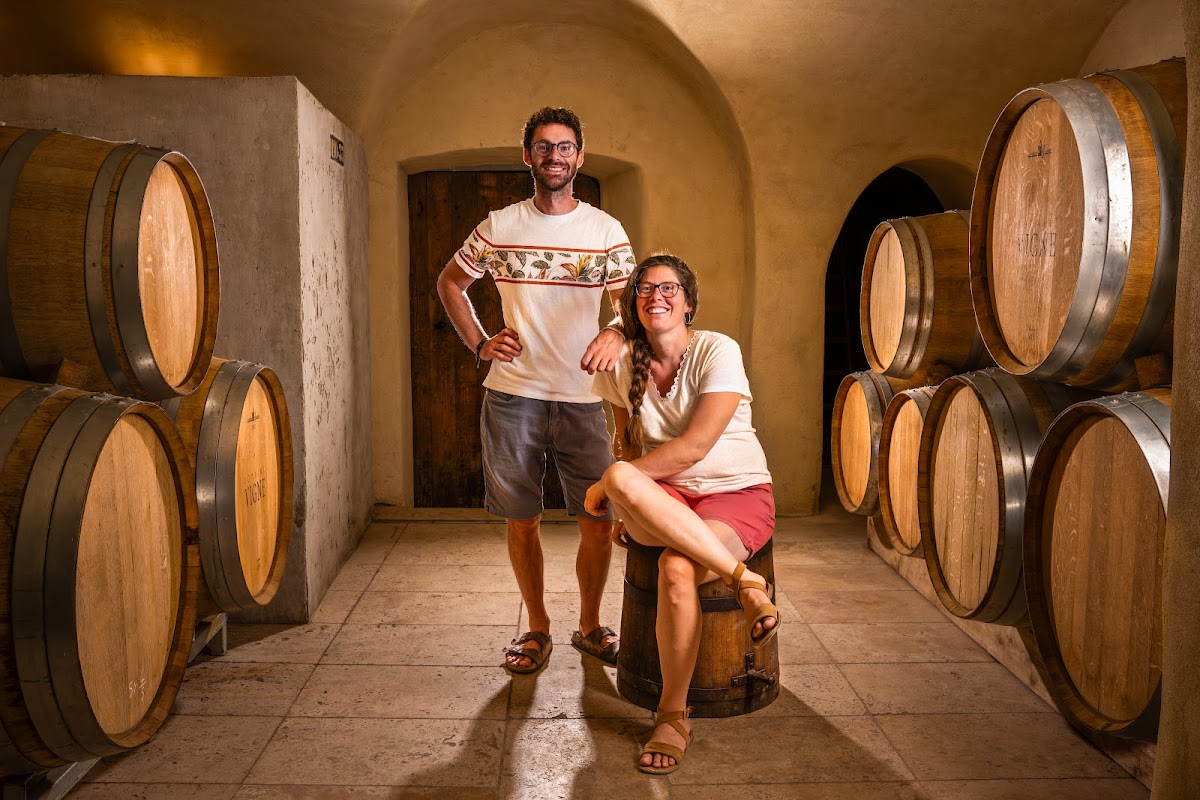 Domaine vigne - Vin Bio en Ardèche - Organic Wine