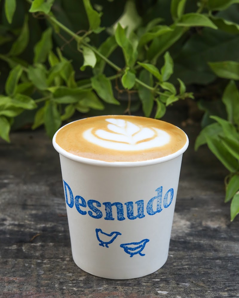 Desnudo Coffee: East Austin photo 2