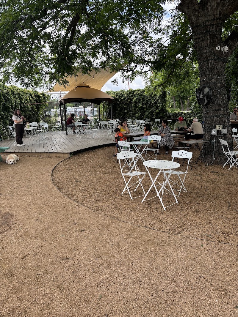 Desnudo Coffee: East Austin photo 1