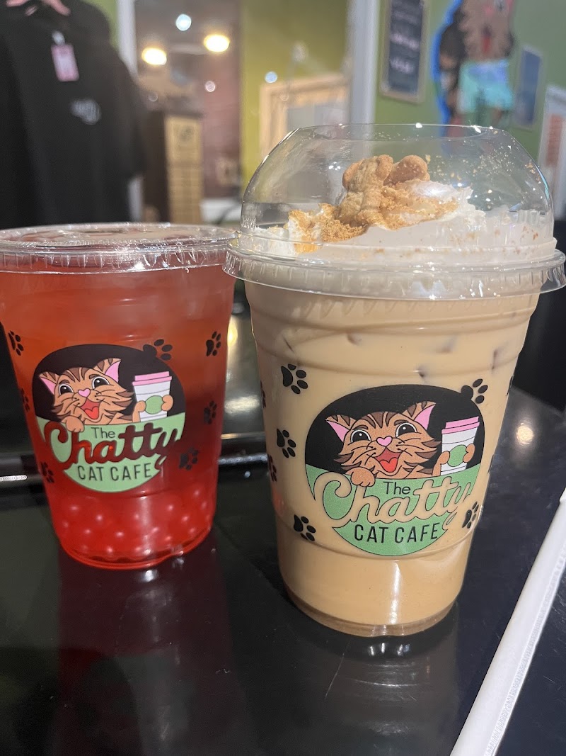 The Chatty Cat Cafe photo 3