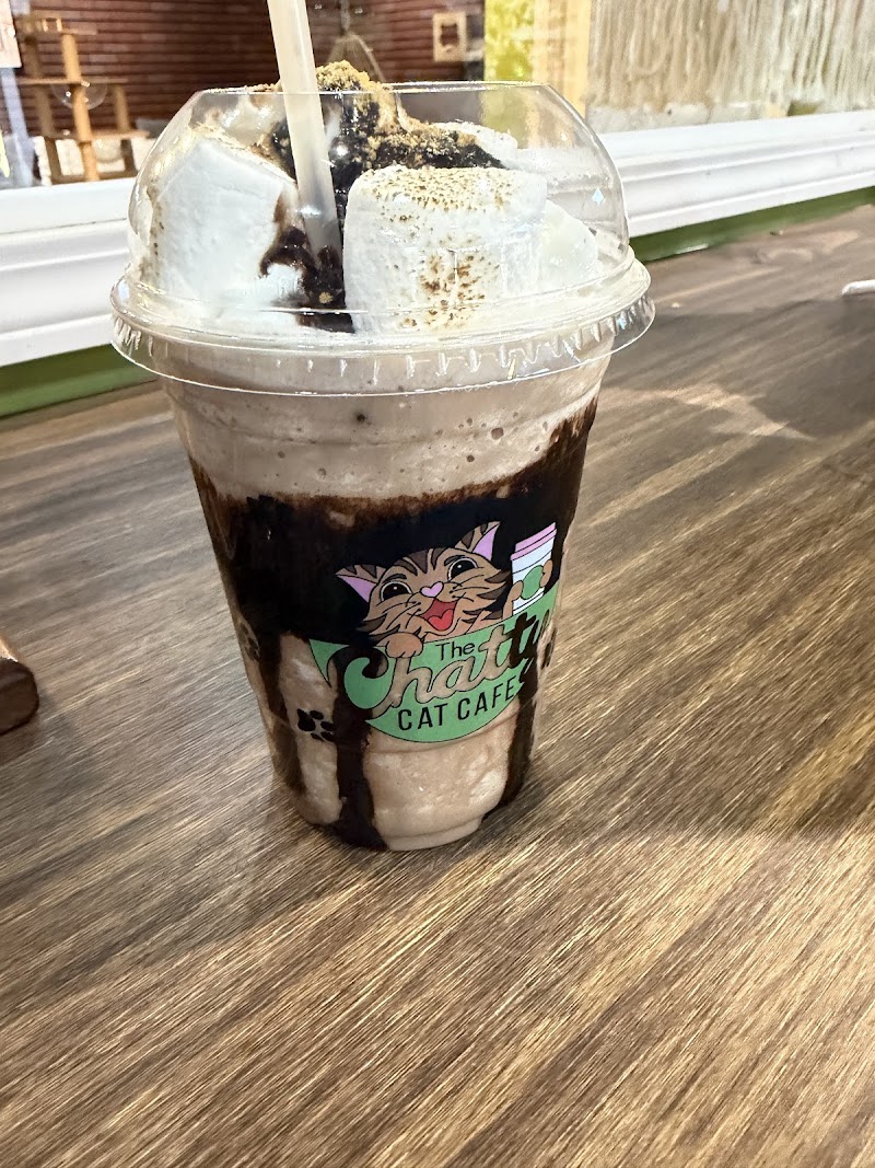 The Chatty Cat Cafe photo 3