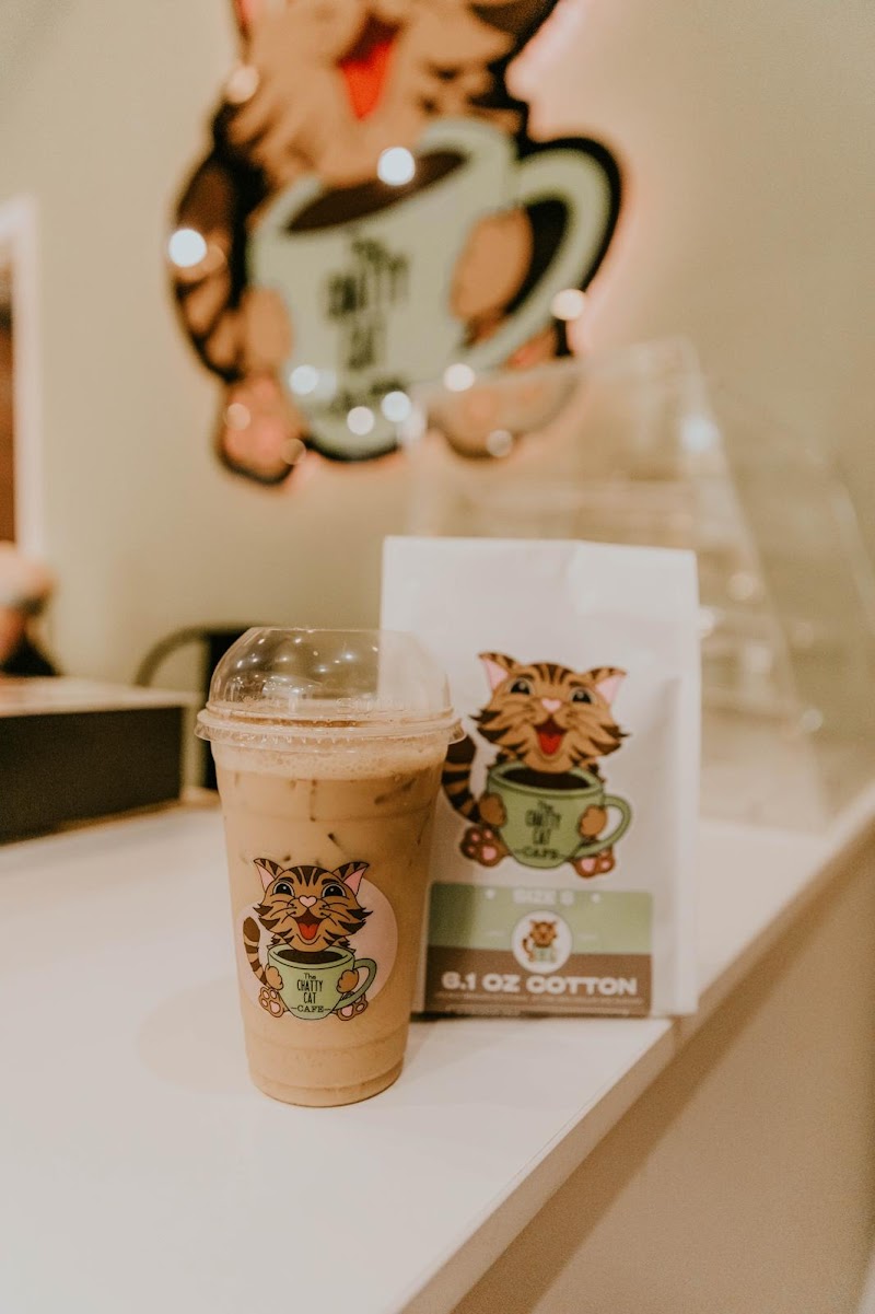 The Chatty Cat Cafe photo 2