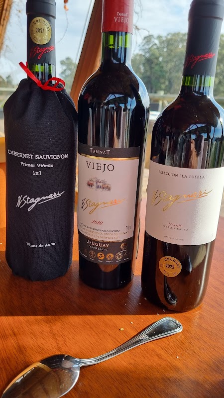 Vinos Finos H. Stagnari