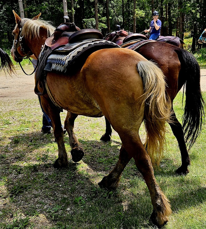 Wild 3L Ranch - Photo 1