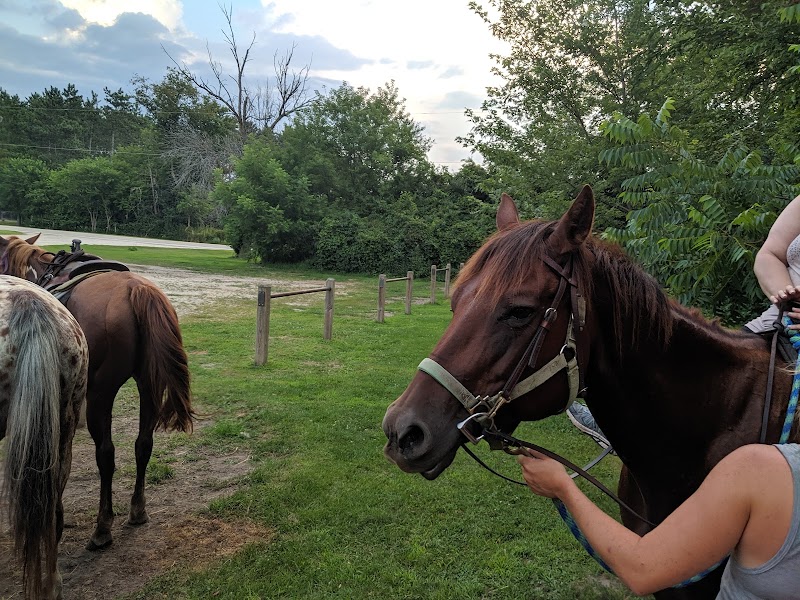 Wild 3L Ranch - Photo 4