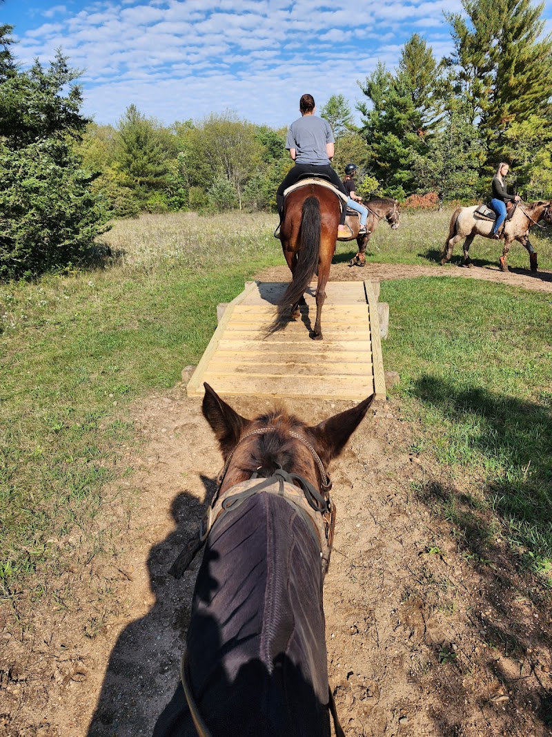 Wild 3L Ranch - Photo 2