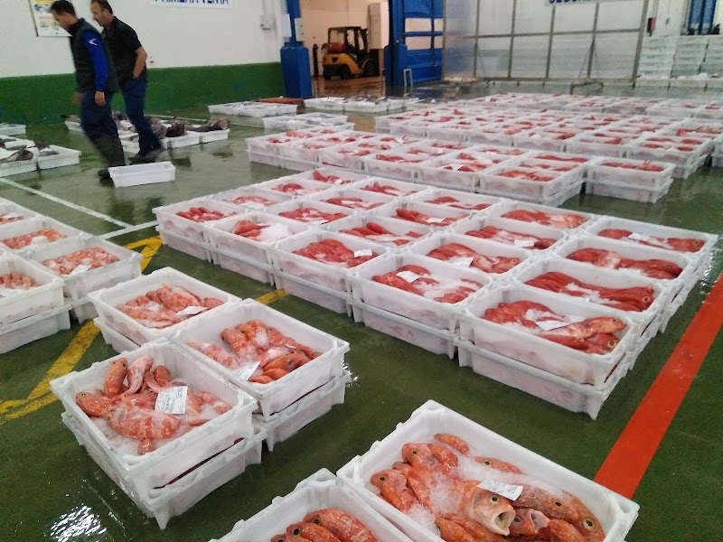 Lonja de Altura photo 3