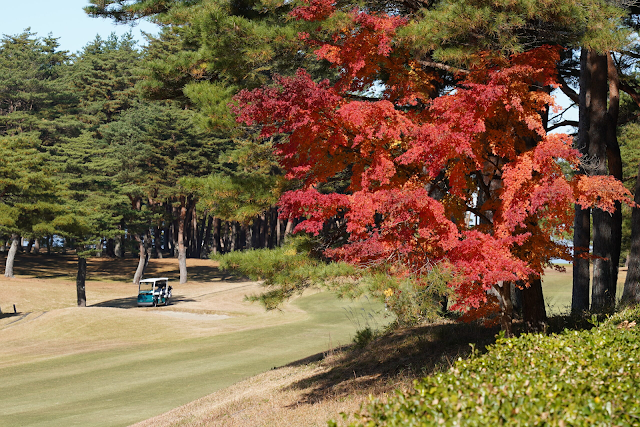 Tomiyama Country Club - Photo 8