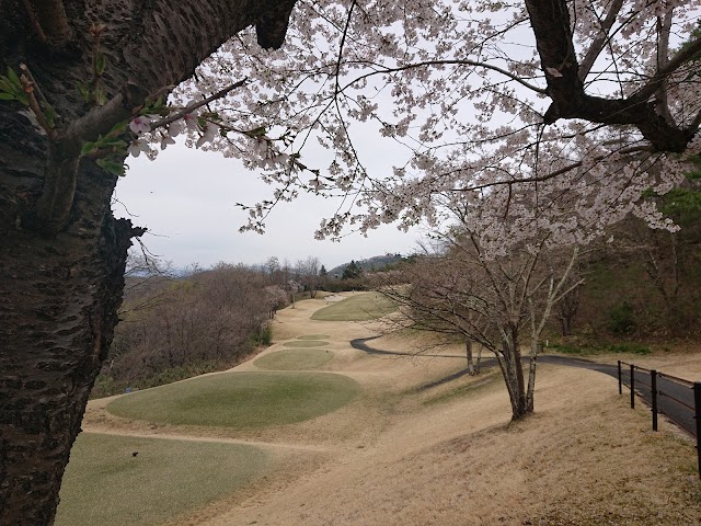 Persimmon Country Club - Photo 2