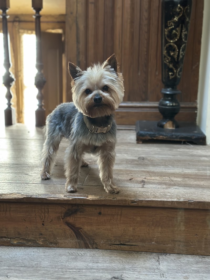 CLINICA VETERINARIA ZAUNKA LLODIO