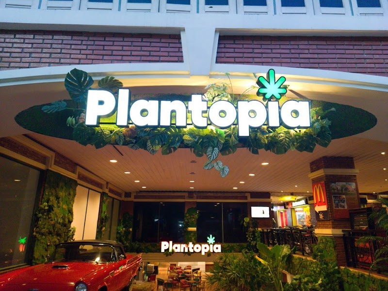 Plantopia Weed City