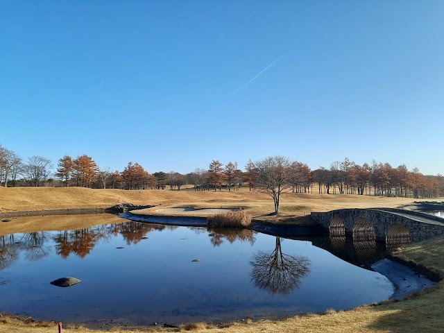 Shirakawa Meadow Golf Club - Photo 8