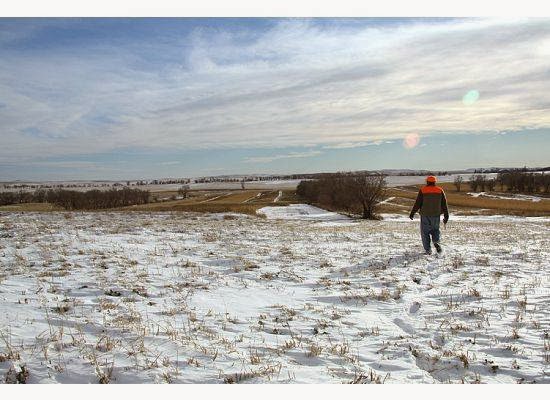 Kysar Farms Waterfowl and Wildlife Management - Photo 1
