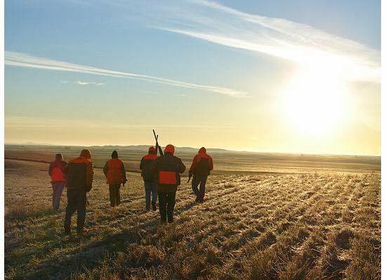 Kysar Farms Waterfowl and Wildlife Management