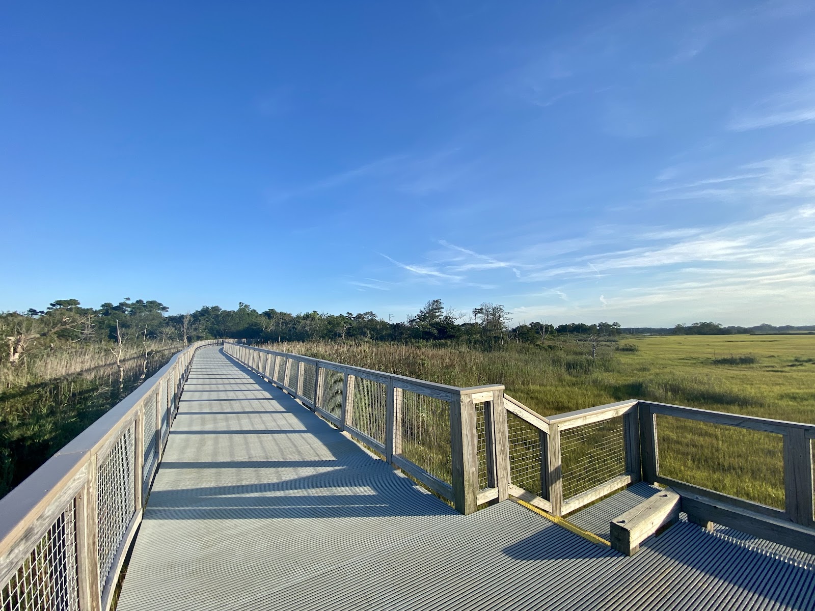 Gordons Pond Trail