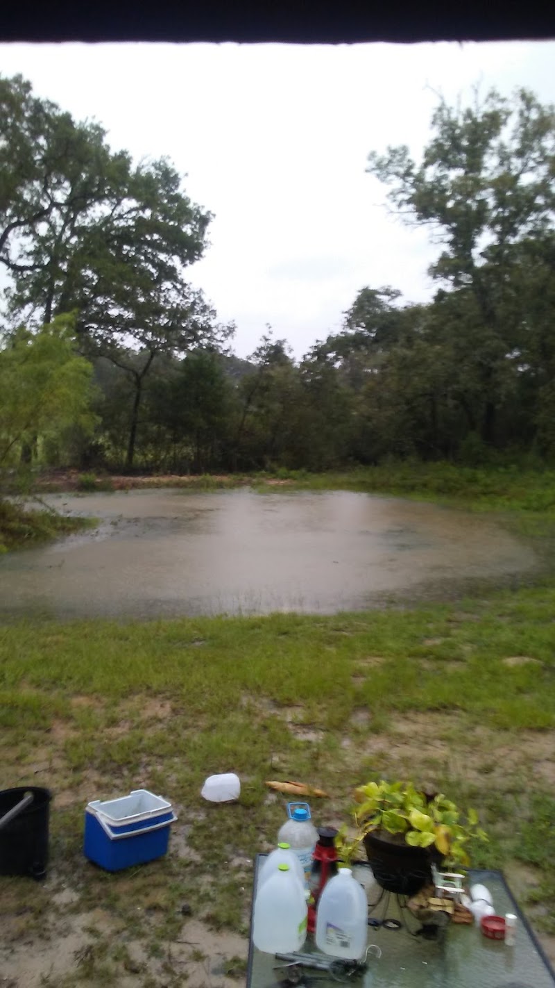 Beaver Creek Ranch - Photo 5