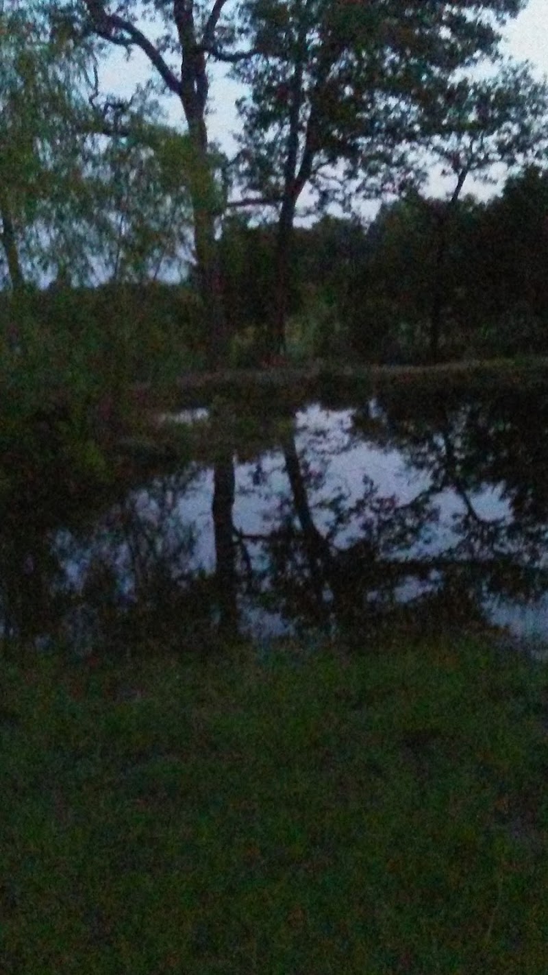 Beaver Creek Ranch - Photo 4