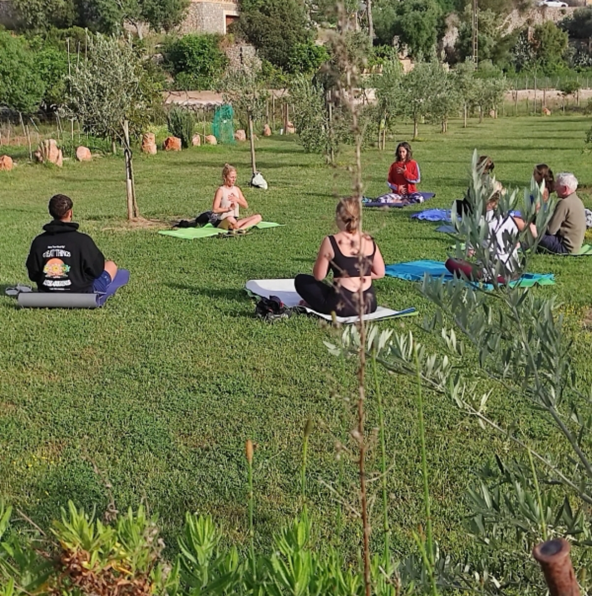 Natur Holistic Studio — 3