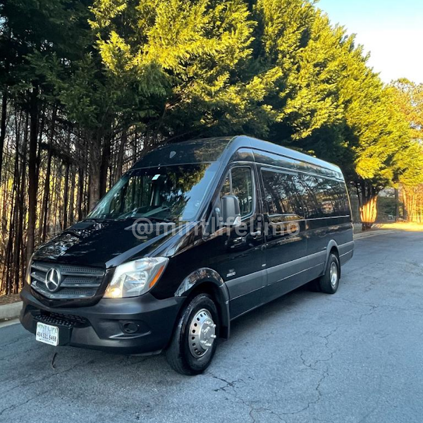 Mint Worldwide Chauffeured Transportation portfolio