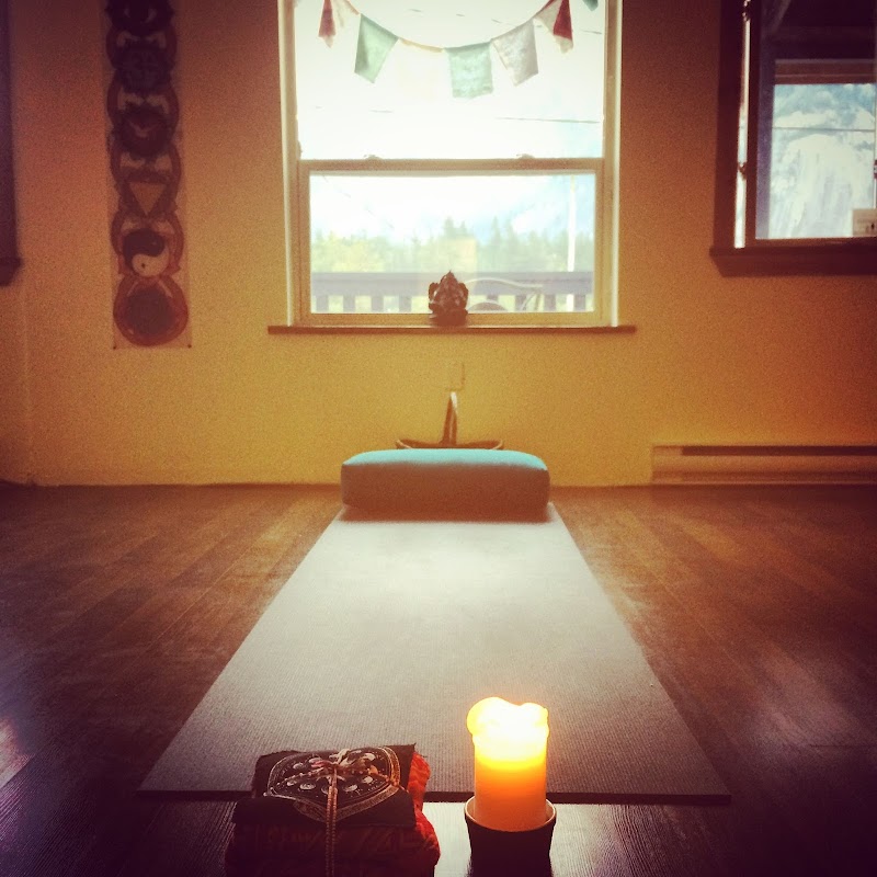 The Yoga Studio