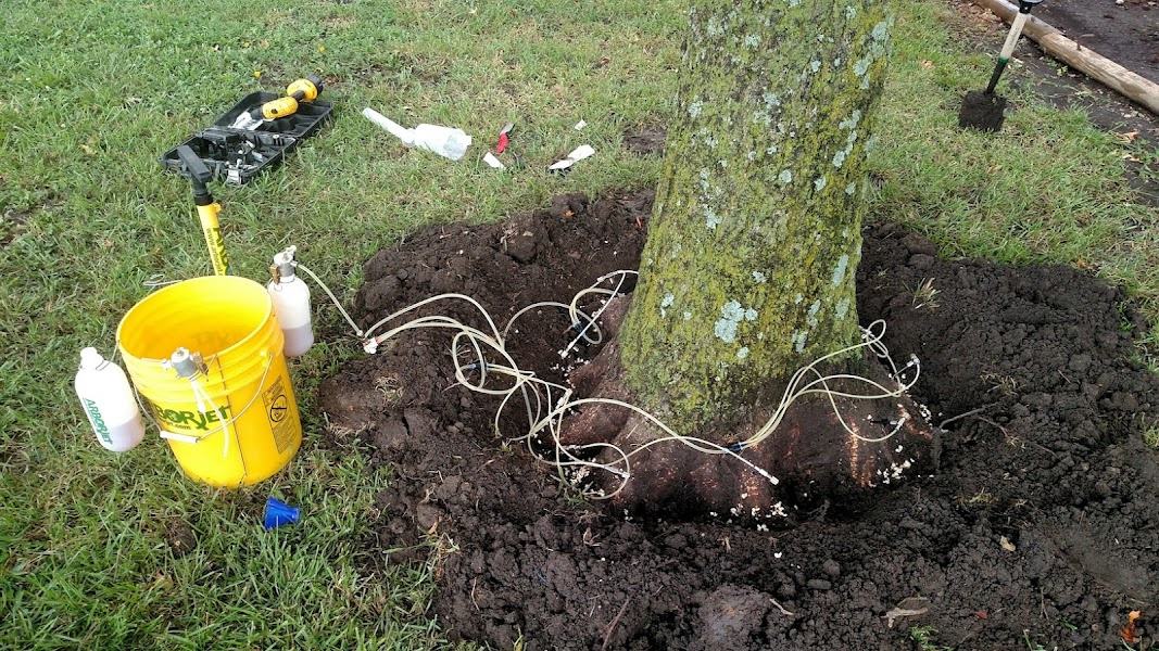 Wellnitz Tree Care