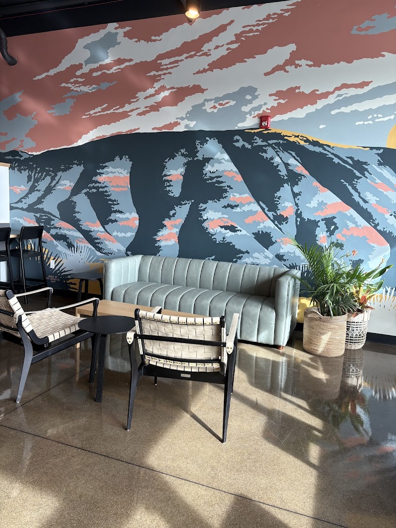 Backporch Coffee Roasters photo 1