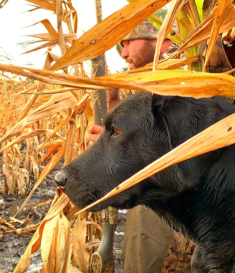 Coteau View Hunts - Photo 6