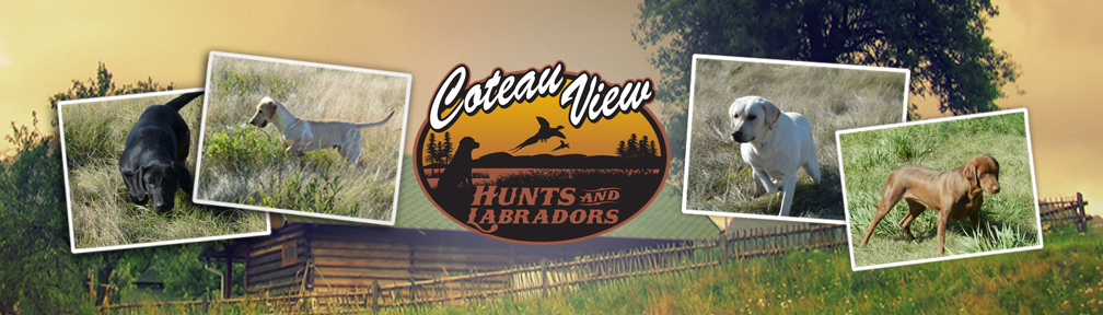 Coteau View Hunts