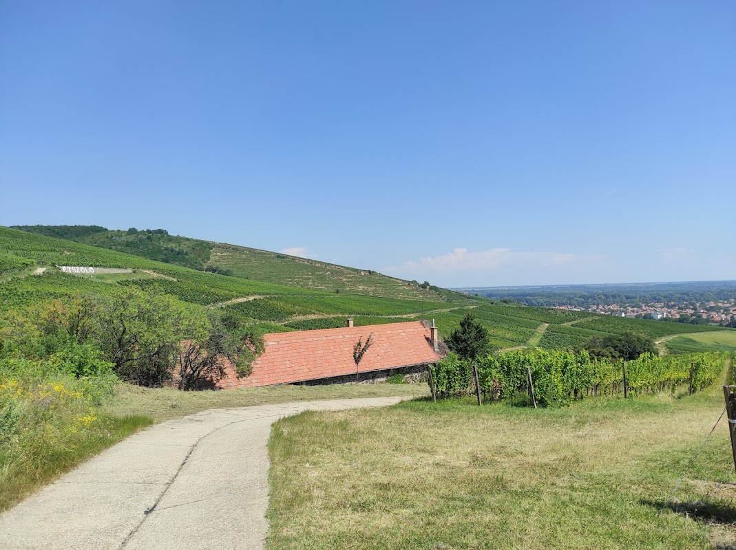 Tokaj-Hétszőlő Organic Wineyards