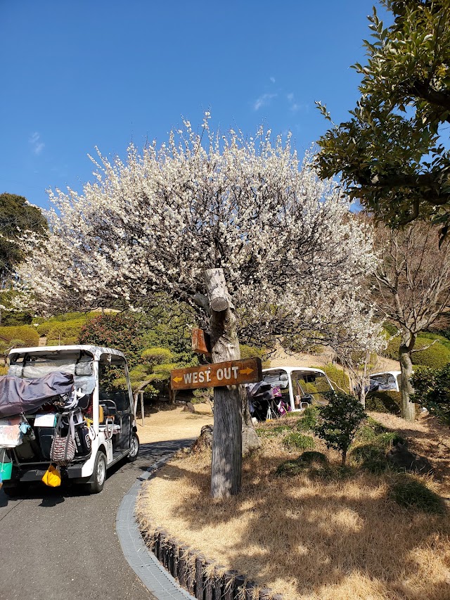 Nakatsugawa Country Club - Photo 7