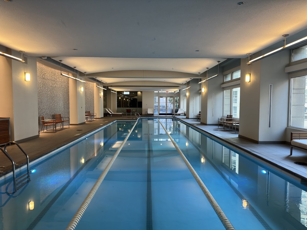 Park Hyatt Chicago, dog-friendly hotel, photo 2