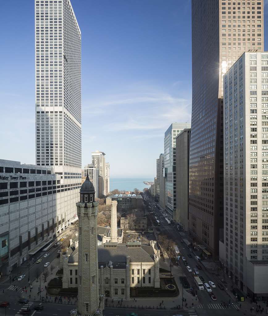 Park Hyatt Chicago, dog-friendly hotel in Chicago