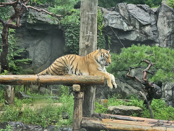 Safari World 1