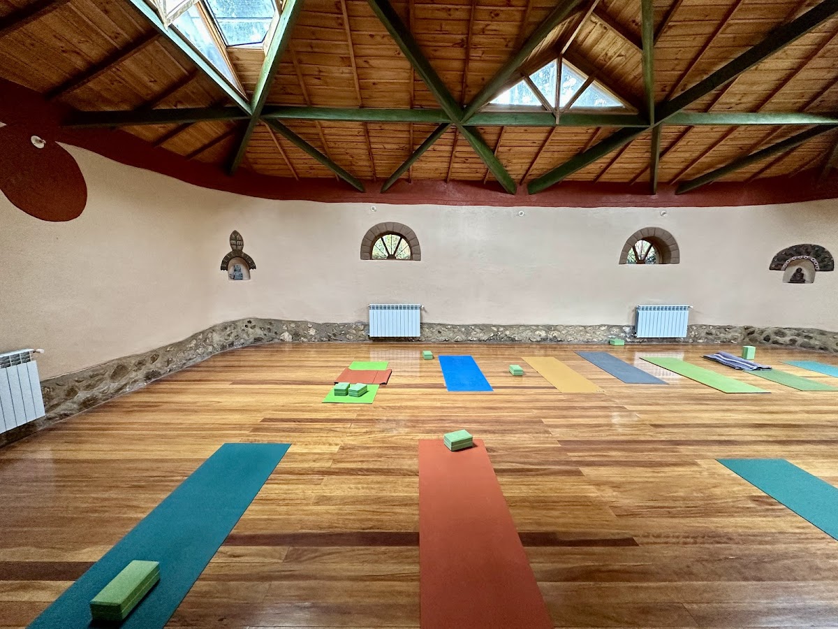Willka T'ika Essential Wellness — 4