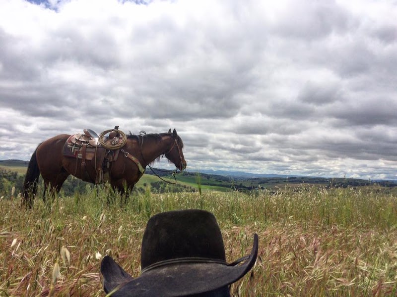 Work Family Ranch - Photo 2