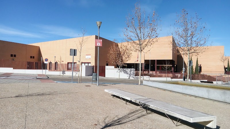 Public School Special Education Vicente Ferrer