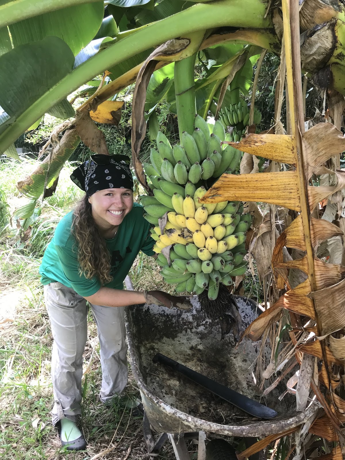 Kokolulu Farm and Cancer Retreats Inc — 4