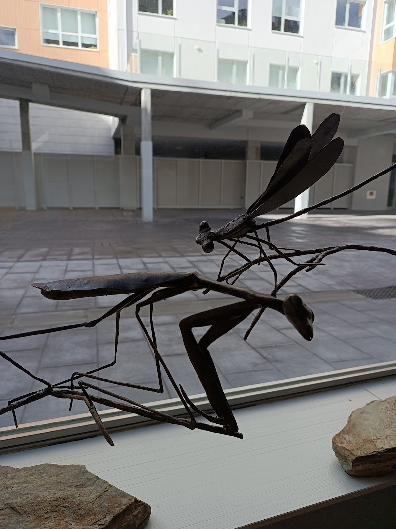 Castroverde Carnicería photo 3