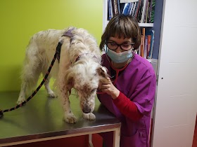 Centro Veterinario "Plaza de España"