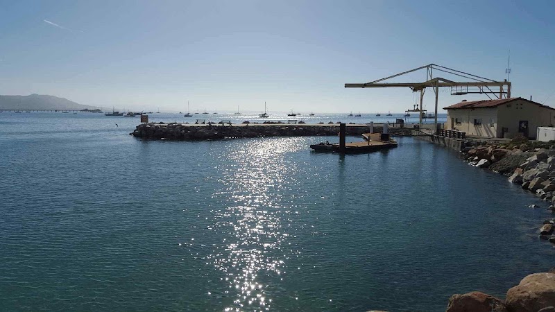 Fat Cats Cafe photo 4