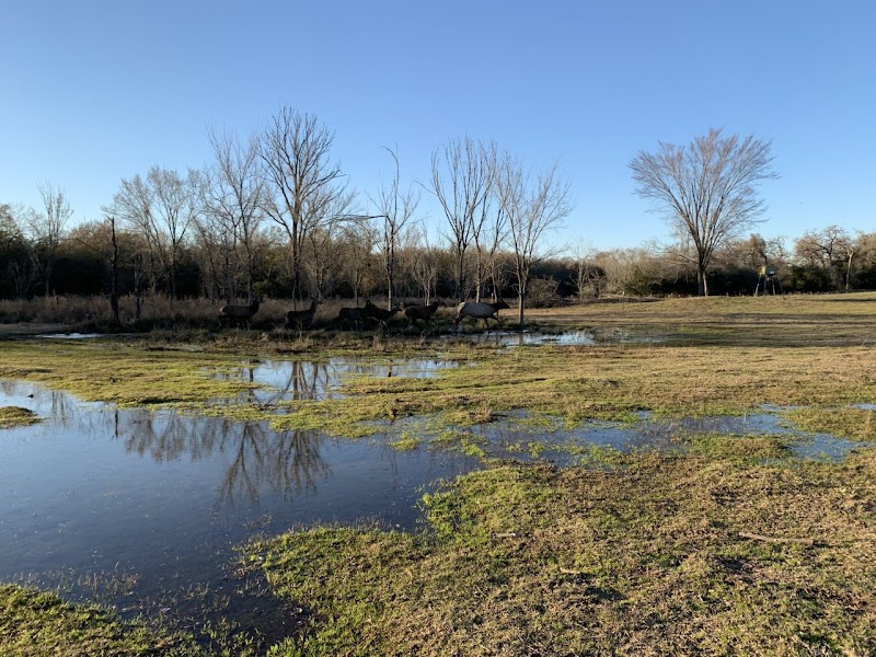 Triplett Ranch, Lexington, TX - Photo 5
