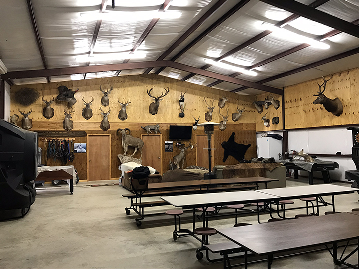 Triplett Ranch, Lexington, TX - Photo 2