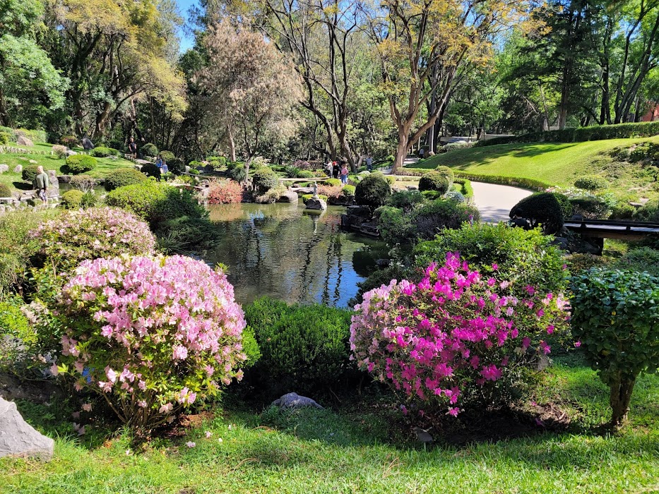 Jardín Japonés fotoğraf 1