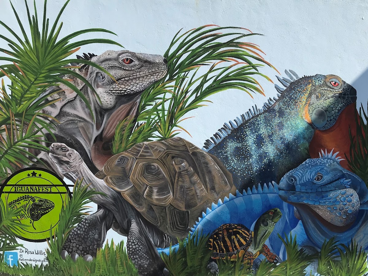 Iguanaland Inc.