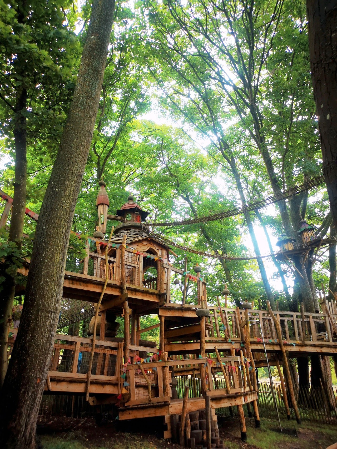 Tumblestone Hollow at Stonor Park