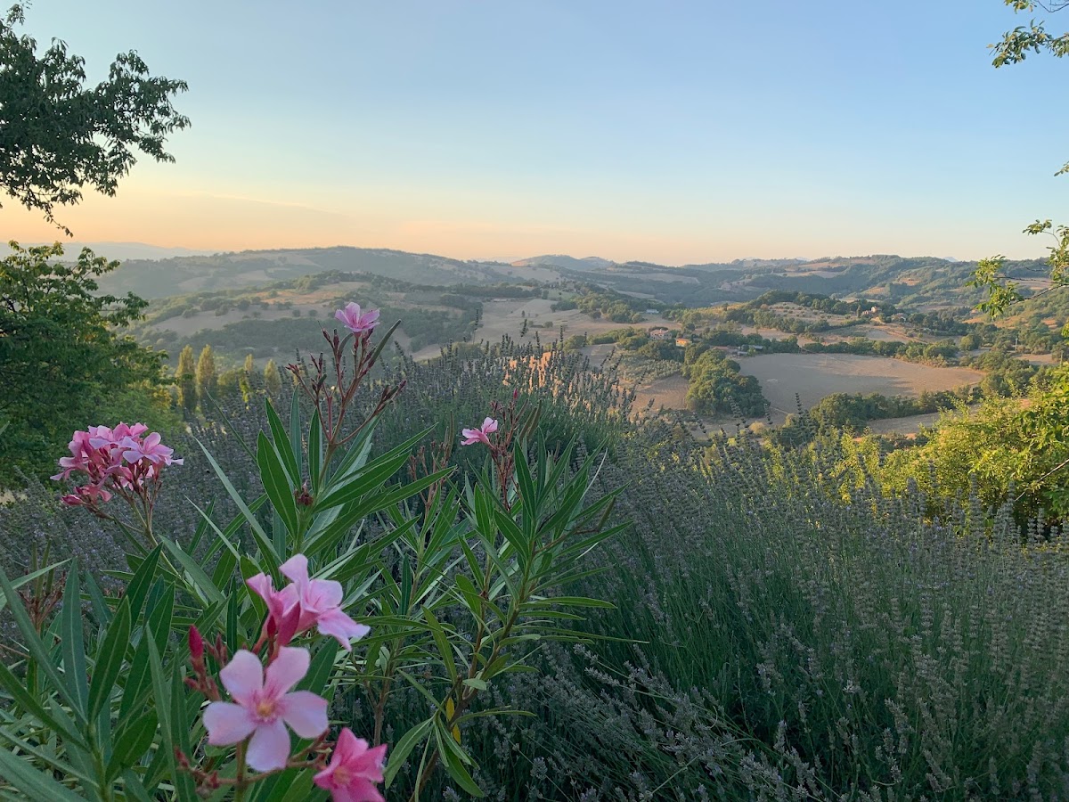 Porziano 104 — 4