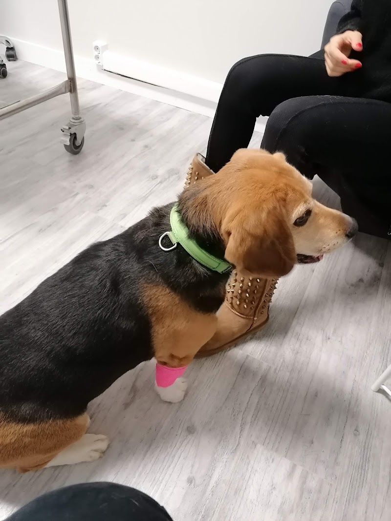 UMAVET | Oncología Veterinaria